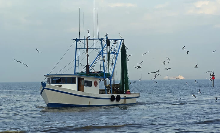 Lady Jane Shrimping Cruise