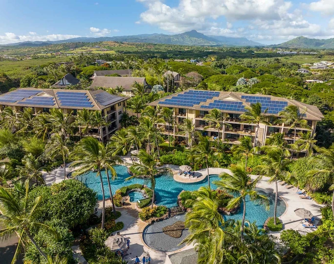 a swimming pool surrounded by trees