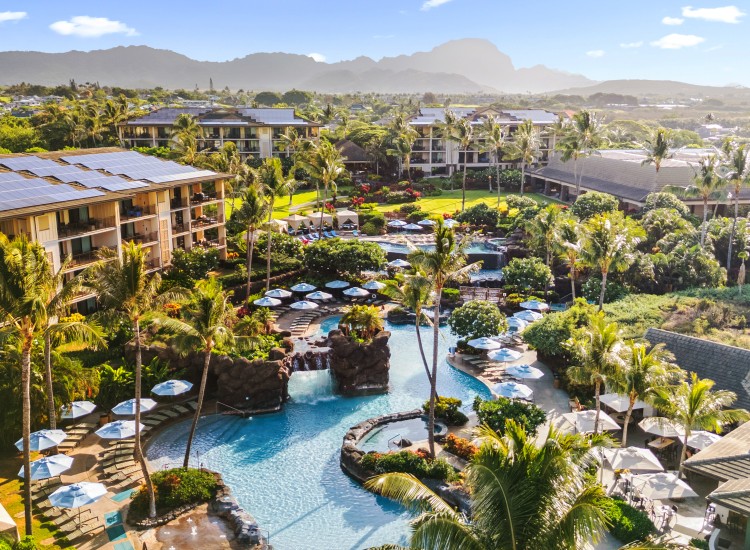 a swimming pool with palm trees and buildings