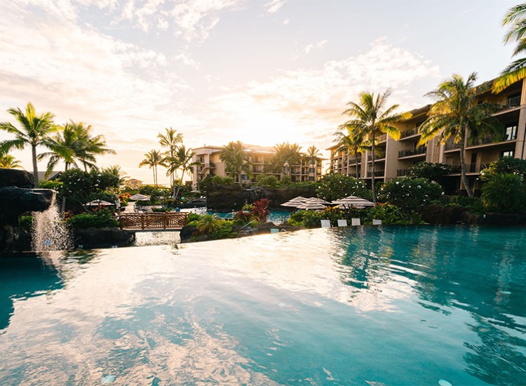 a pool with palm trees and buildings in the background