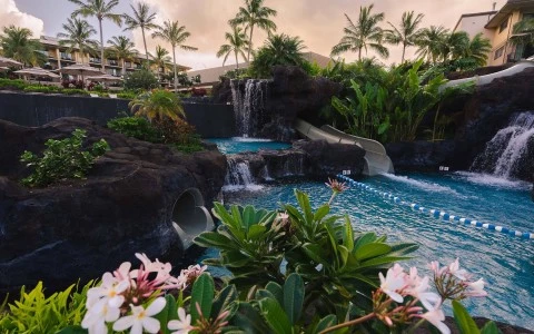 a waterfall with flowers and trees