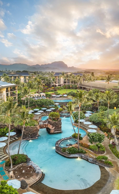 a pool with palm trees and a resort