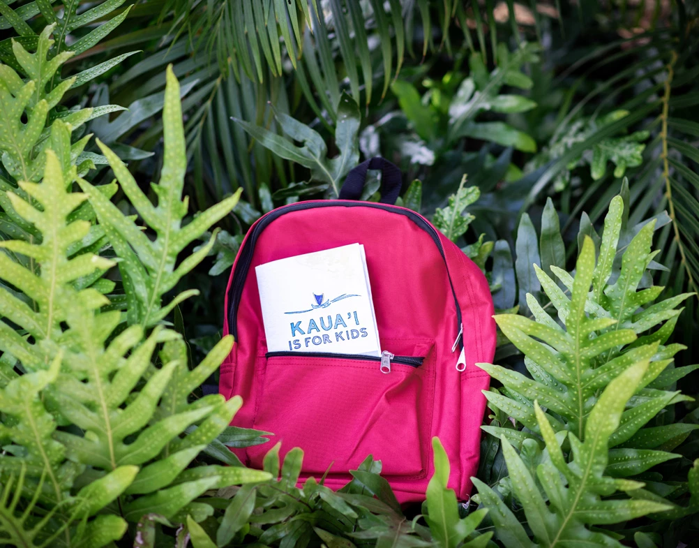 a backpack in the bushes