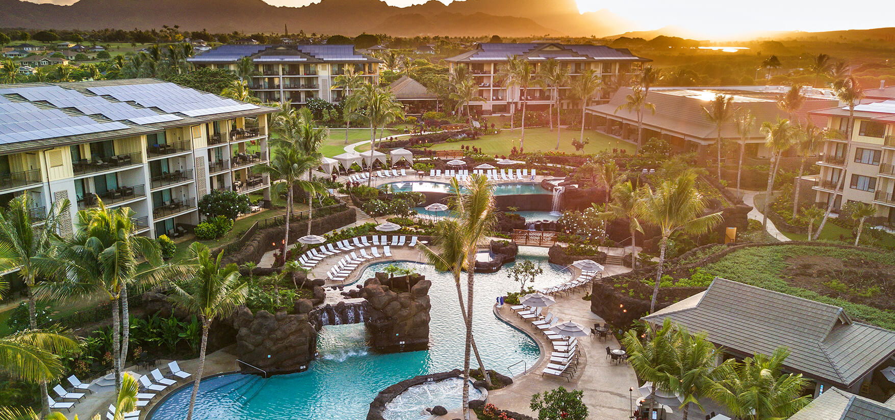 a resort with a pool and palm trees