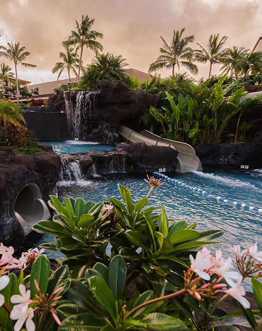 a water slide in a pool