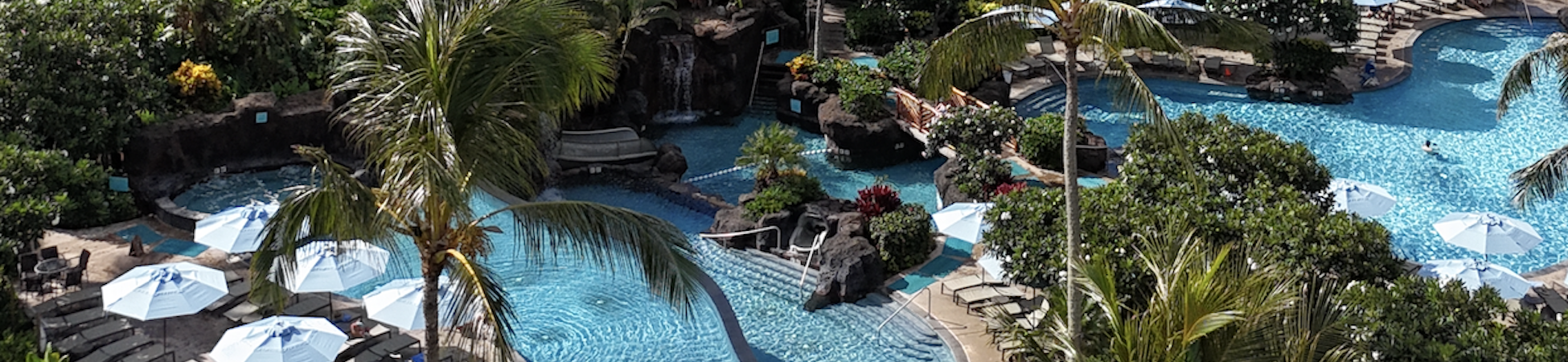 a pool with rocks and trees