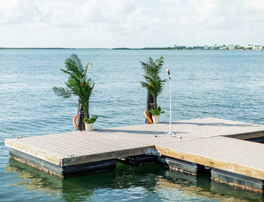 a dock with plants on it