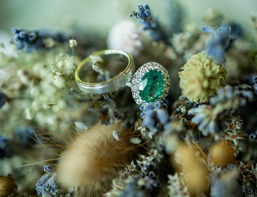 a group of blue and yellow flowers