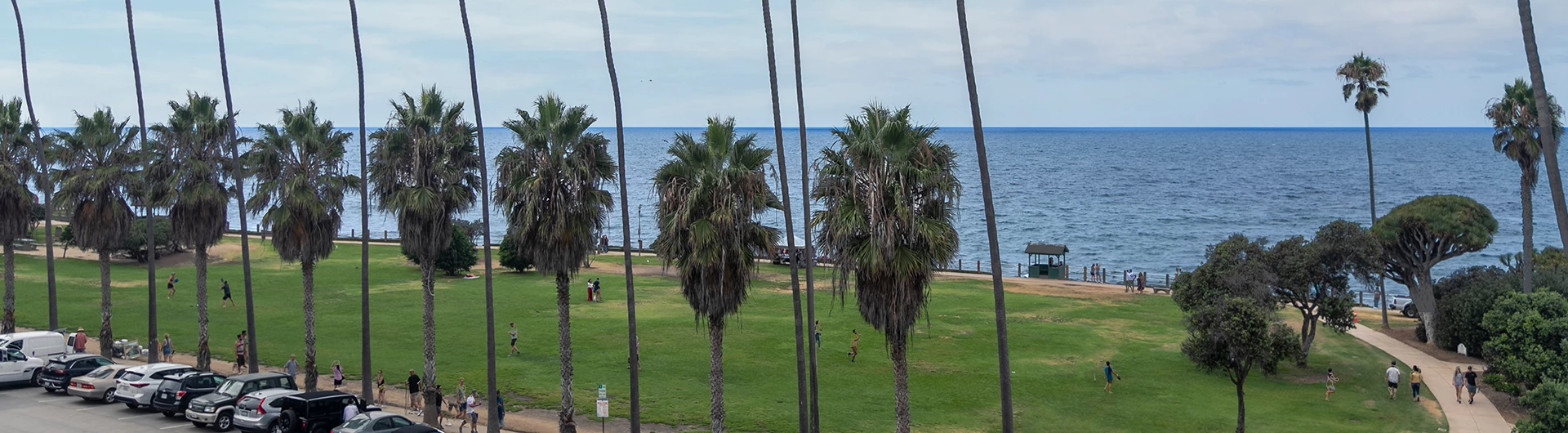 a park with palm trees and a body of water in the background