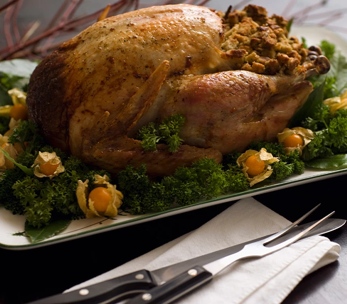 a turkey on a plate
