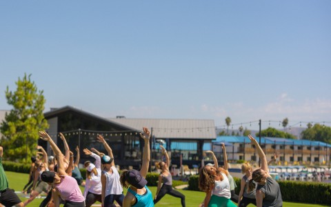 a group of people doing yoga on mats