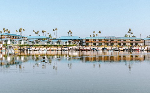 a row of houses on a body of water