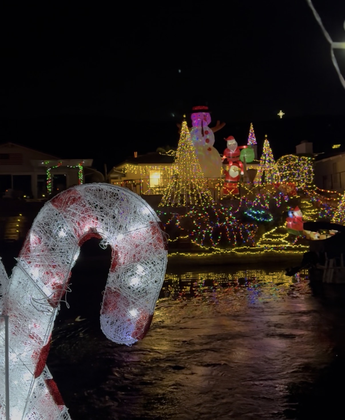 a christmas lights in the water