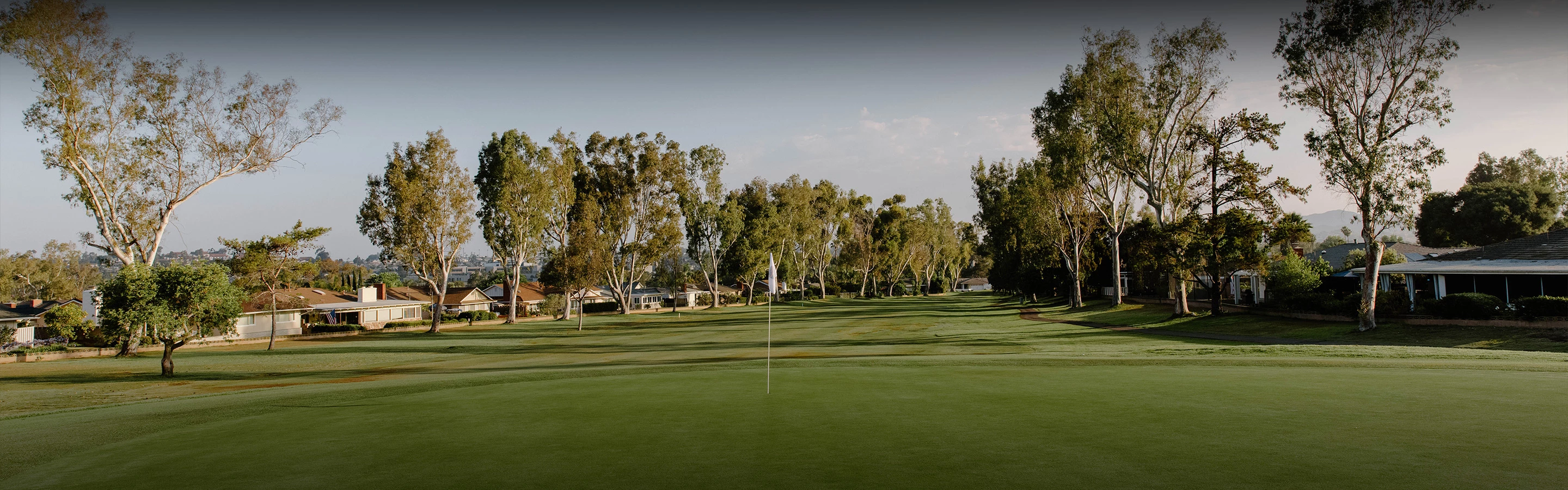 a golf course with trees