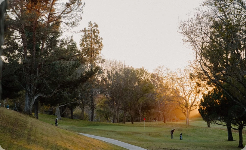 a group of people walking on a path through a park