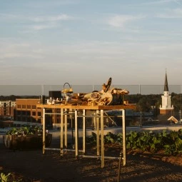 rooftop cocktail hour at sunset