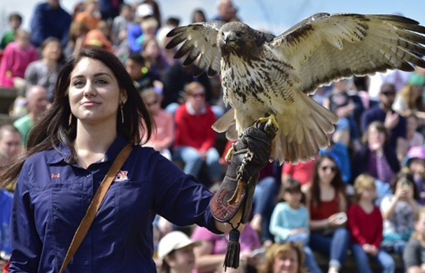 a woman holding a bird on her hand