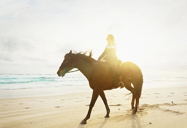 woman straddled on a regal horse walking along the beach while the sun sets behind