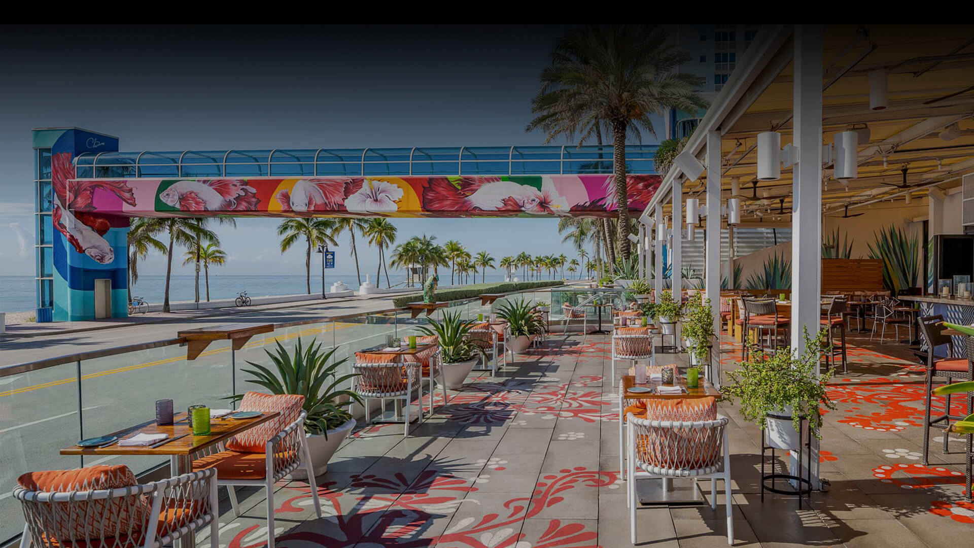 NeonGrove review photo 4