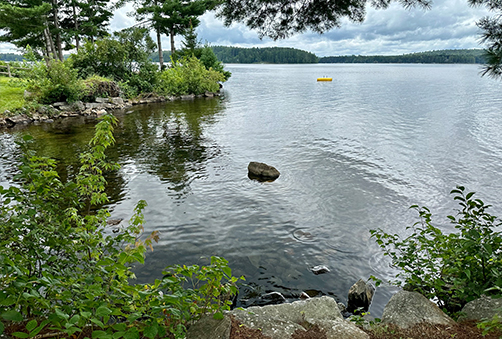 a lake with rocks and trees