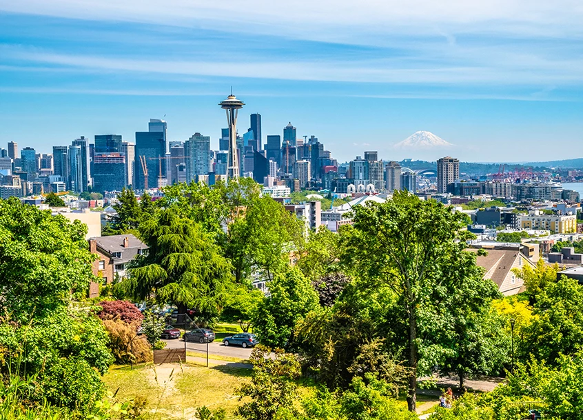a city with trees and a mountain in the background