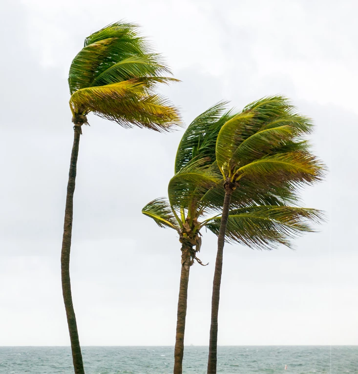 lkr_tvl page warning