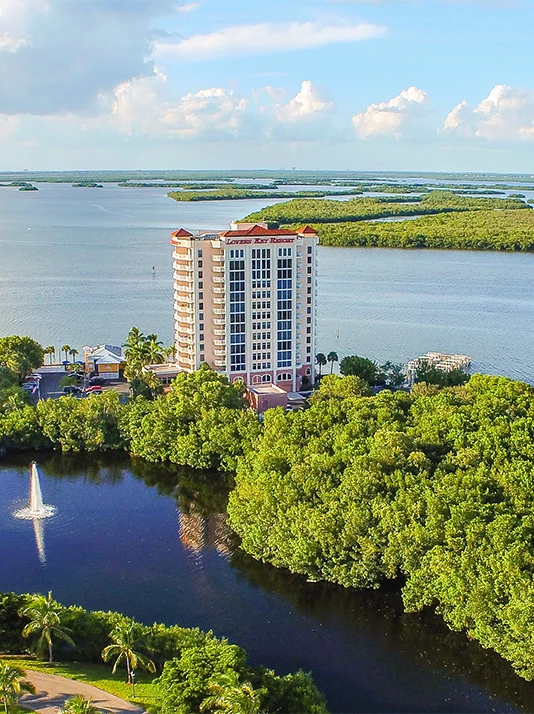 Aerial shot of hotel surrounded by greenery