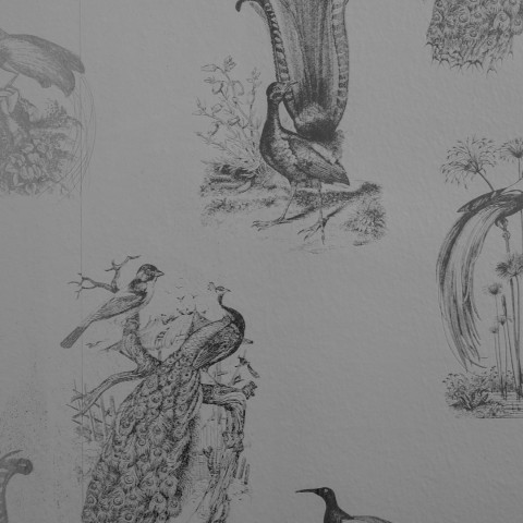 a wallpaper with birds on it