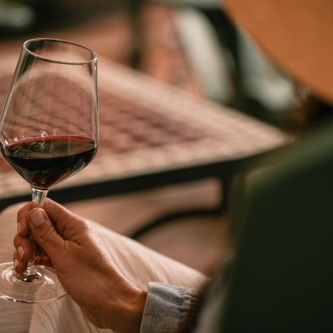a person holding a glass of wine