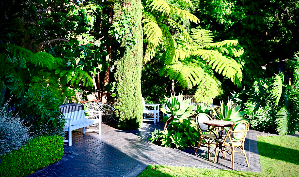 a patio with chairs and trees