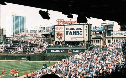 a crowd of people in a stadium