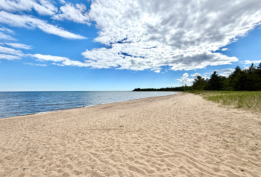 a sandy beach with trees and water in the background