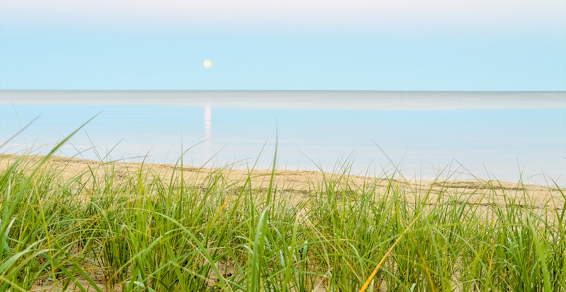 a beach with grass and water