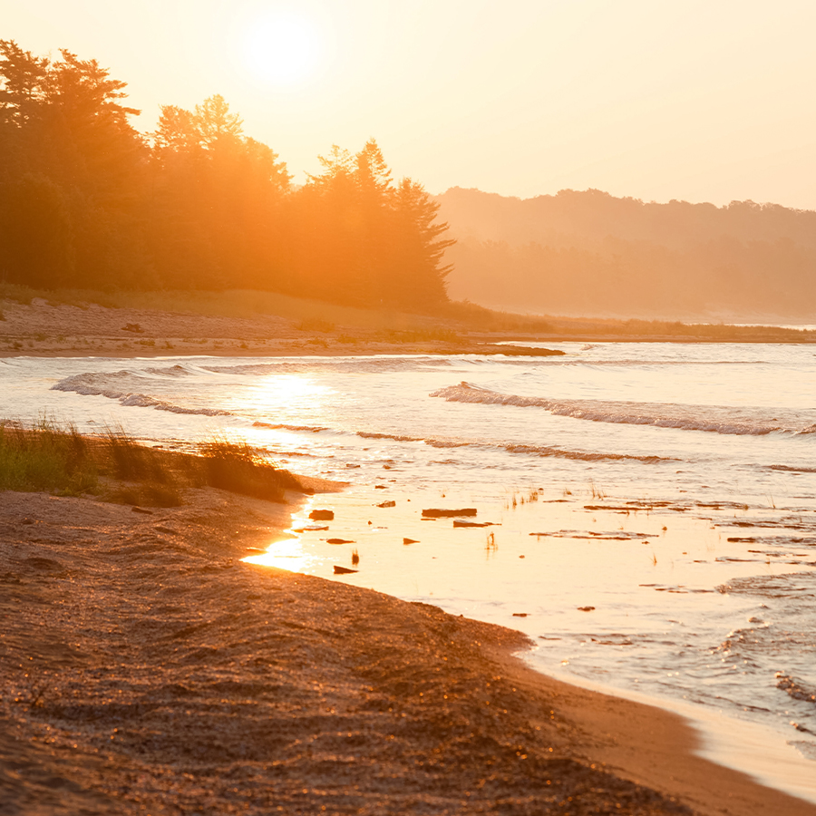 a beach with water and trees