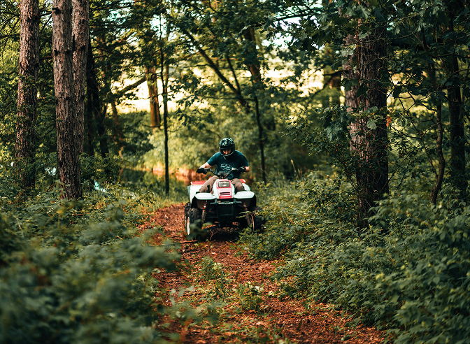 a person on a quad bike in the woods