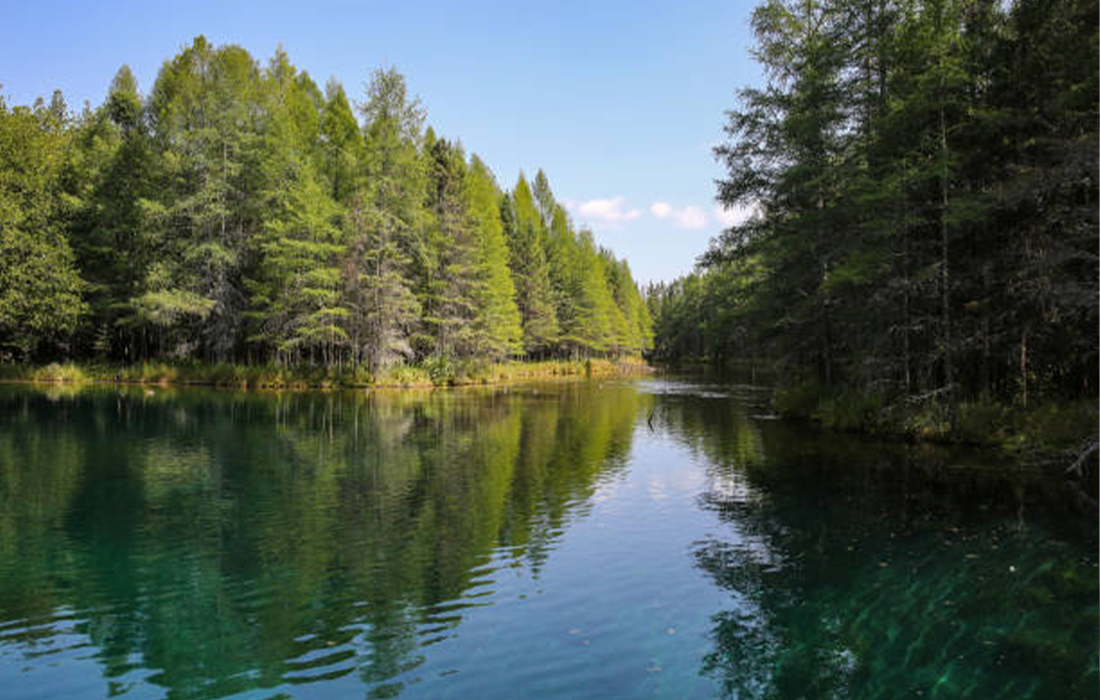 a body of water with trees around it