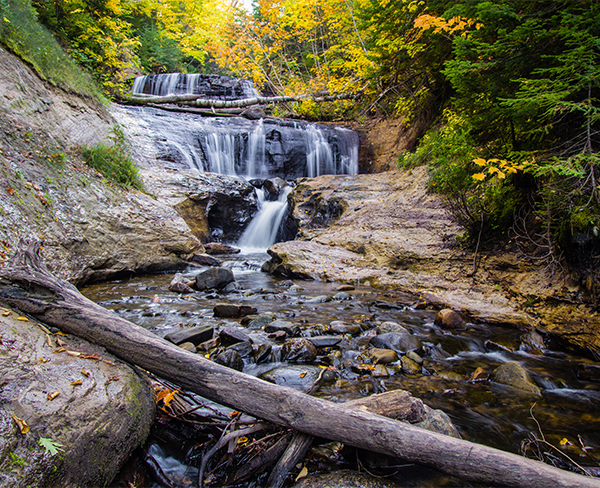 a waterfall in a forest