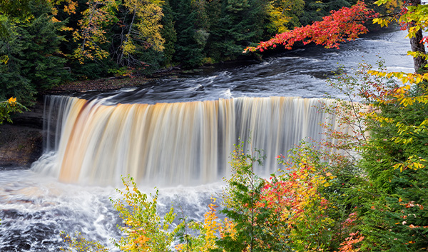 Tahquamenon Falls with trees around it