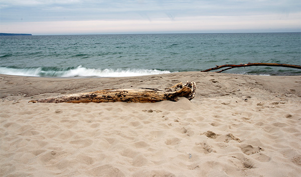 a log on a beach