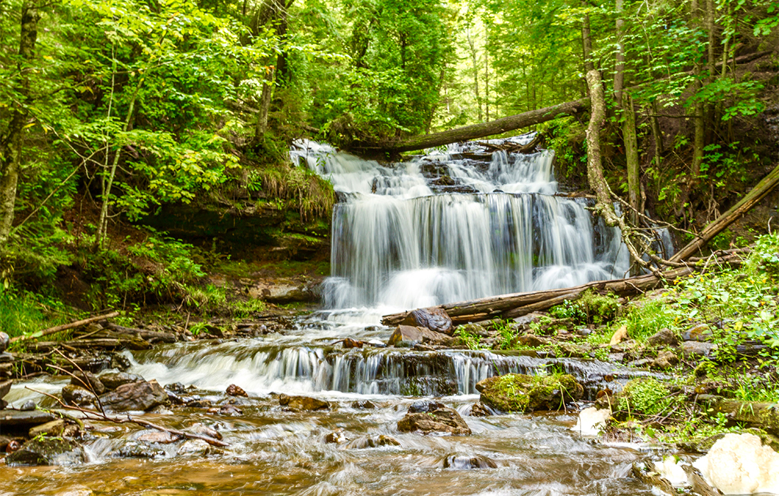 a waterfall in a forest