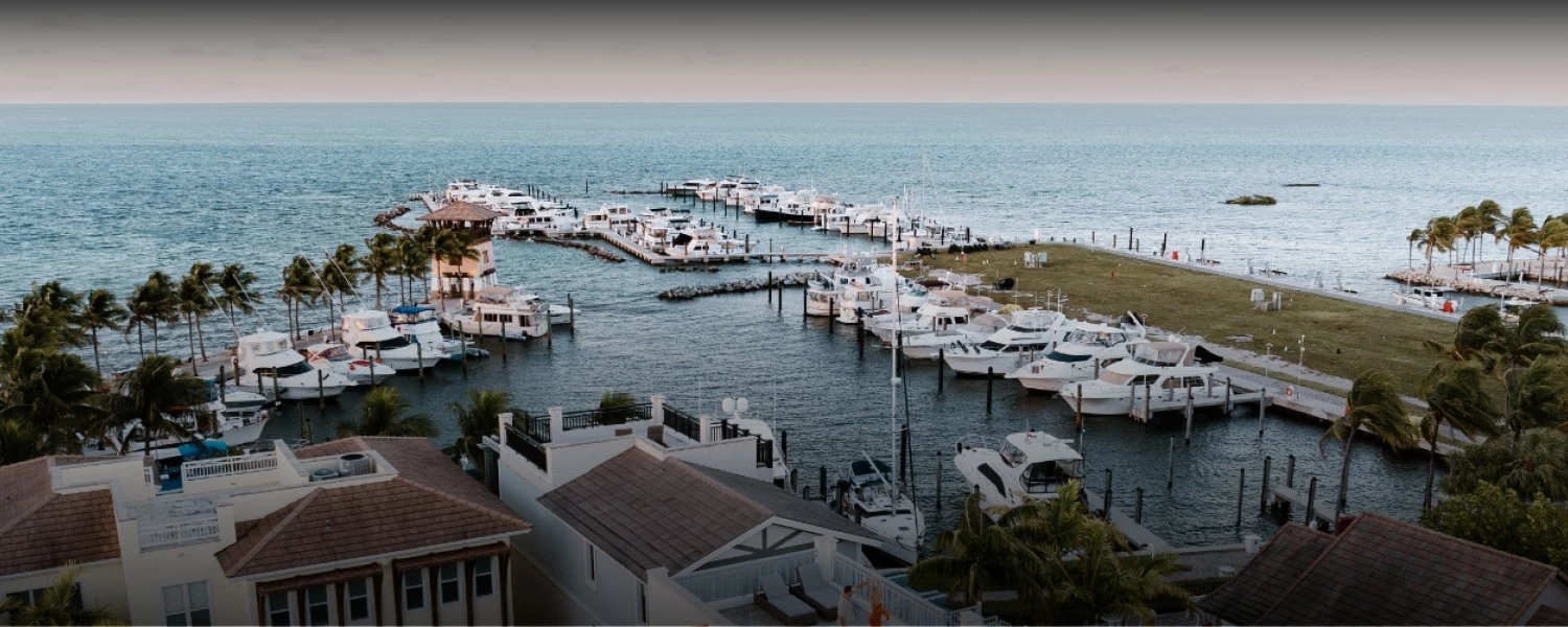 a group of boats in a harbor