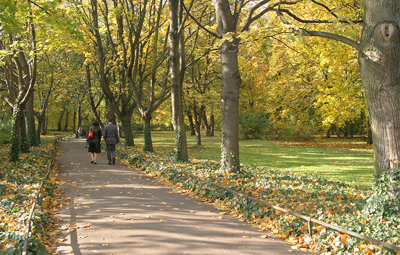 a couple walking on a path with trees and grass