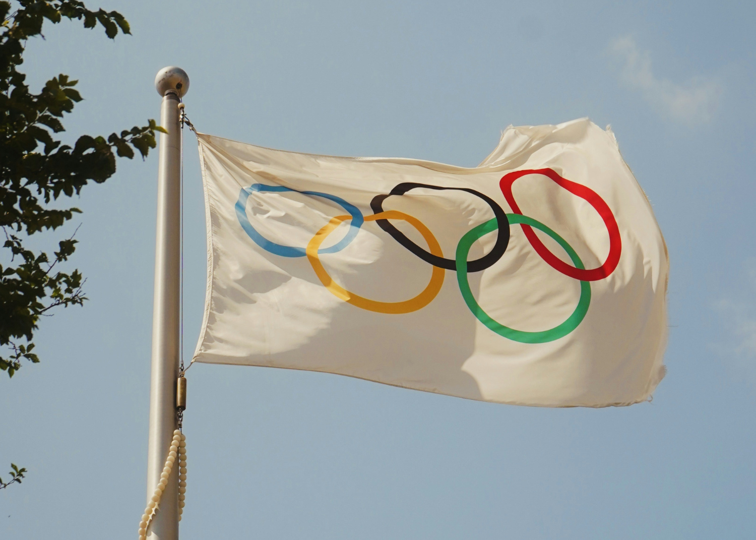 a flag with a logo on it