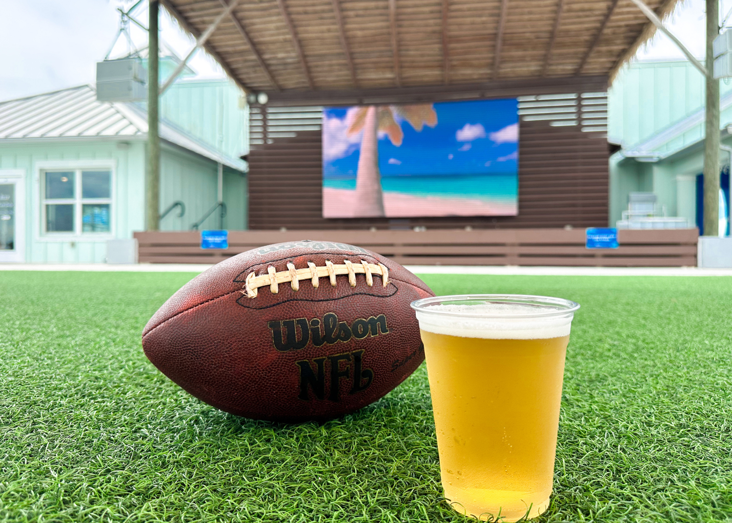 a football and a beer in a plastic cup on grass