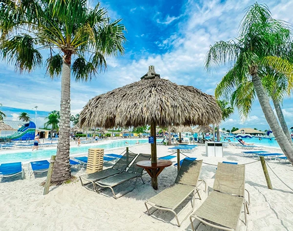 a beach with palm trees and chairs and a straw umbrella