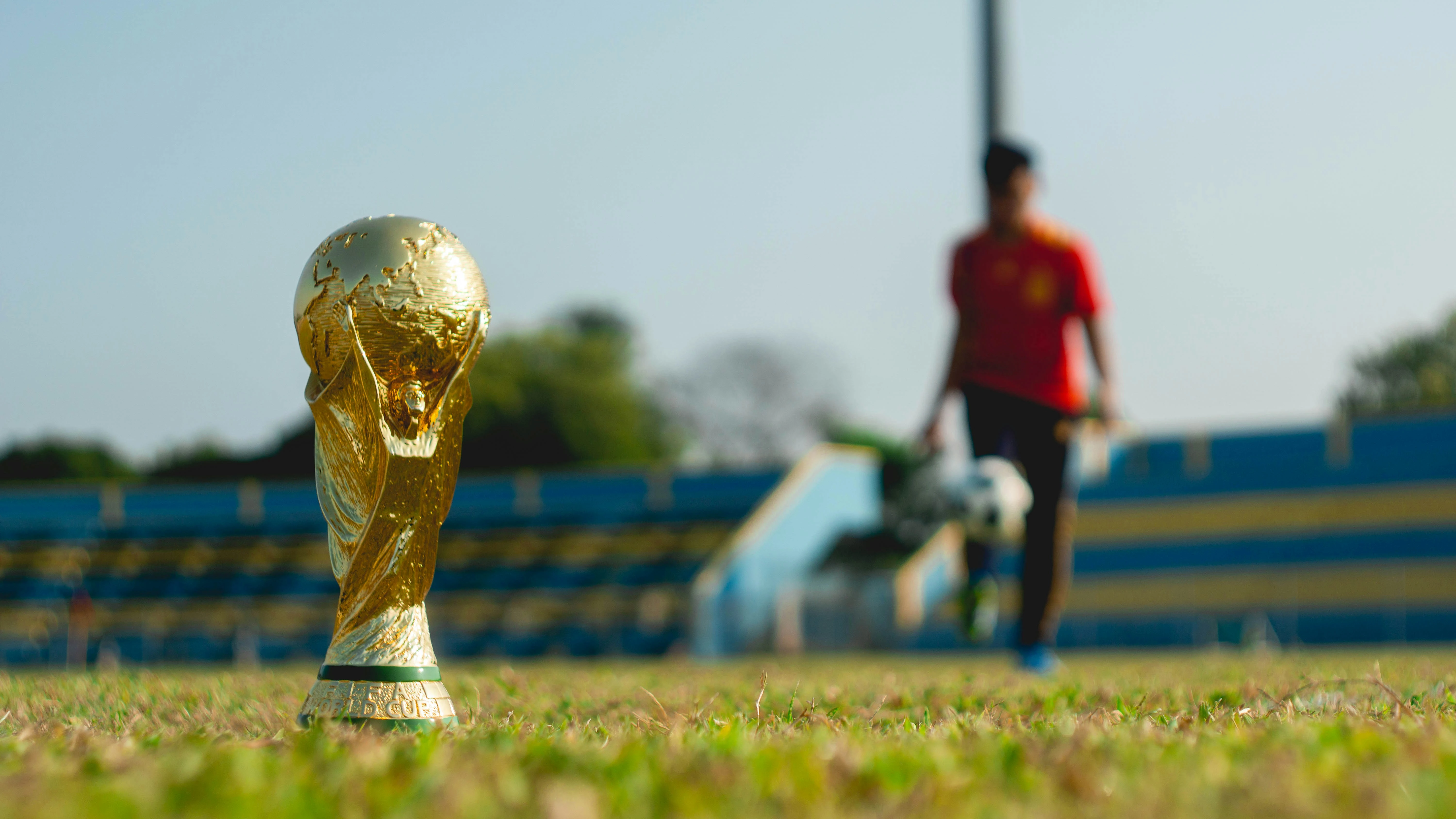 a trophy on the grass
