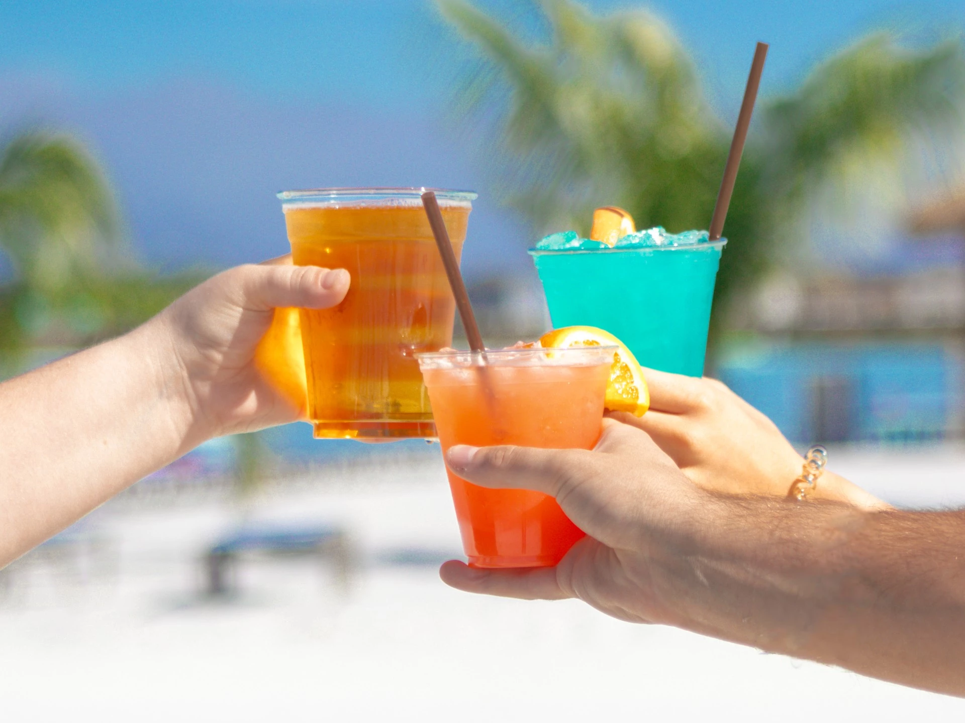 a group of hands holding drinks