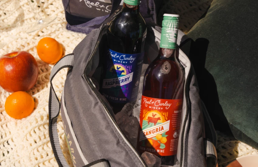 a bag with bottles of wine in it