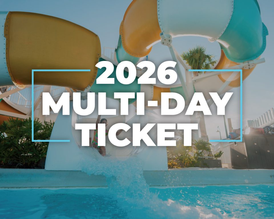 a water slide in a pool