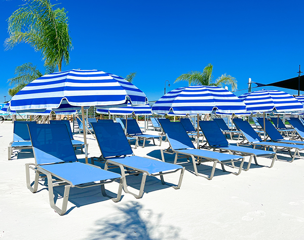 a group of chairs and umbrellas on a beach